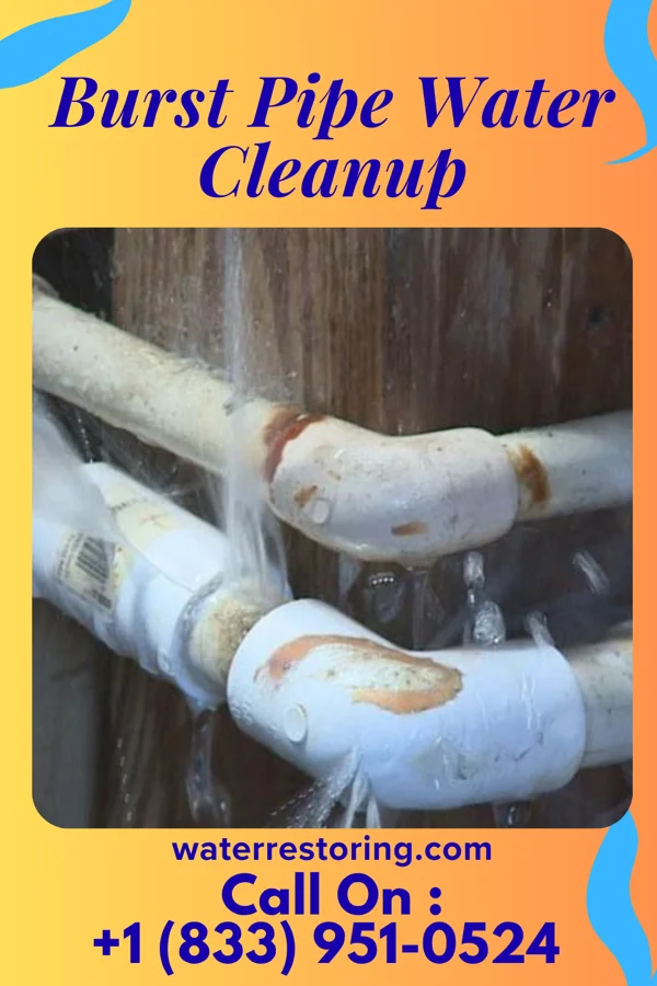Burst Pipe Water Cleanup in Whitehorn Cove, OK