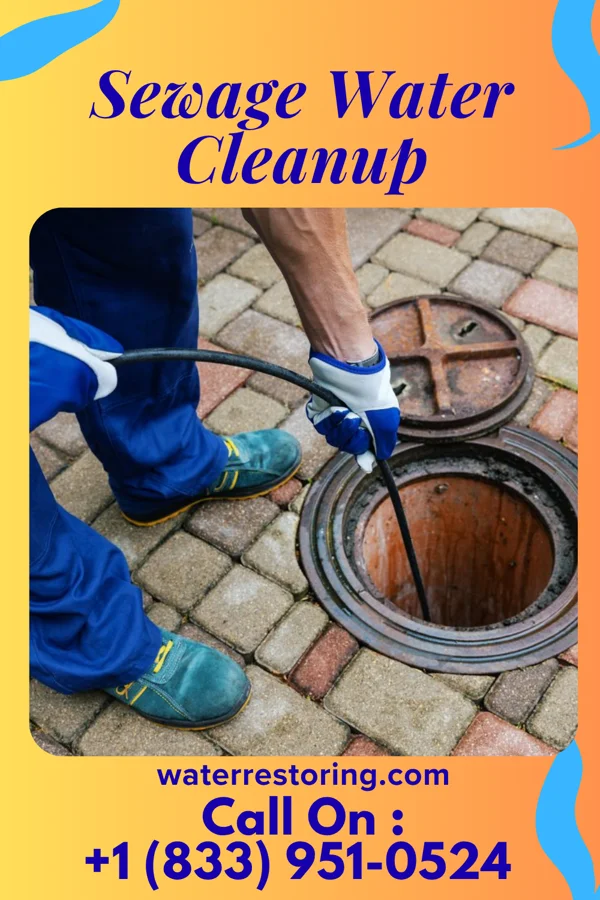 Sewage Water Cleanup in Whitehorn Cove, OK